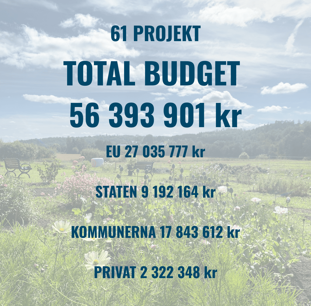 EU 27 035 777 kr STATEN 9 192 164 kr KOMMUNERNA 17 843 612 kr PRIVAT 2 322 348 kr