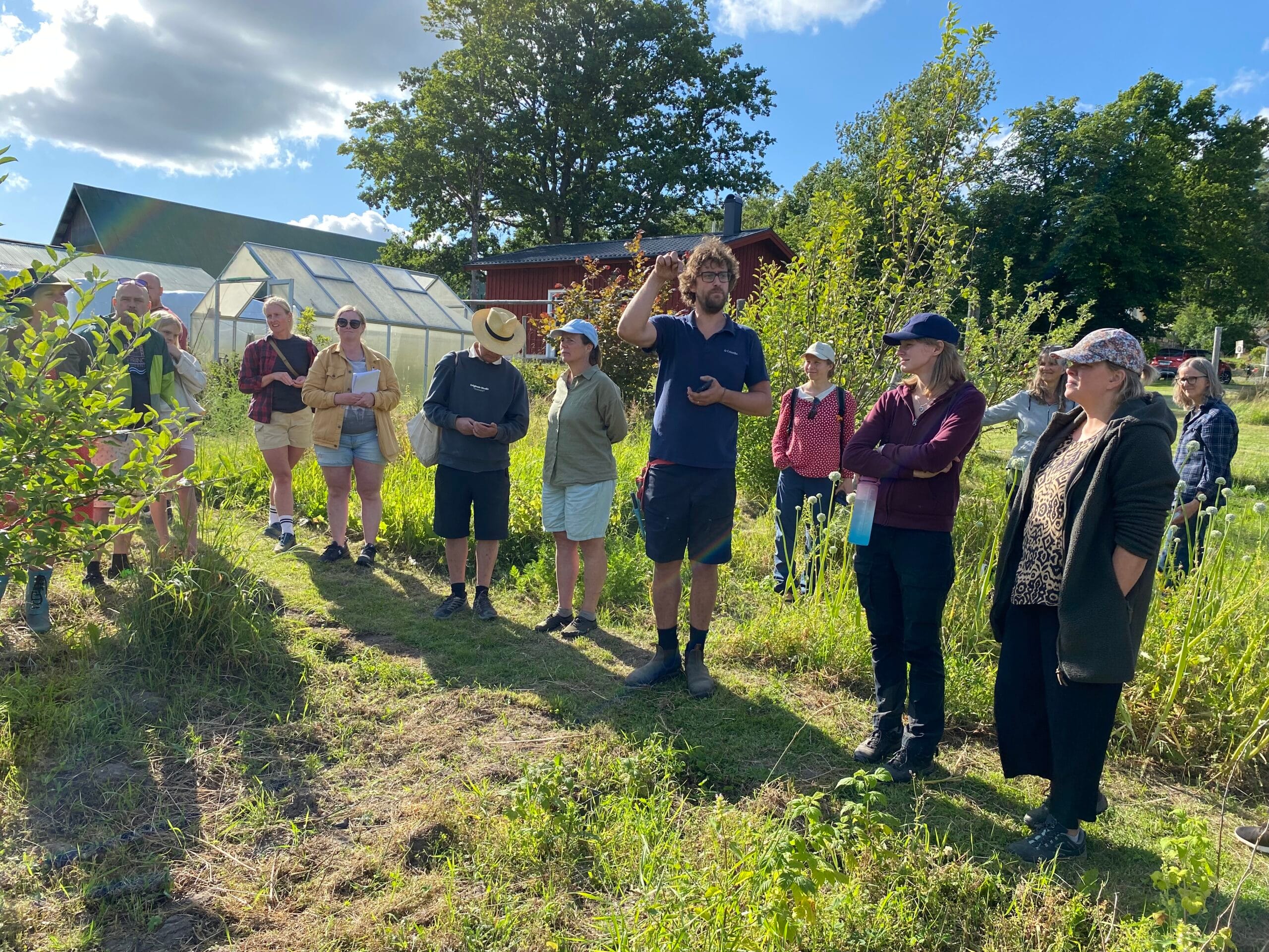 Lindebackens gårdsträff 31 juli 2026 Växtkraft Lindebackens gårdsträff 31 juli 2026